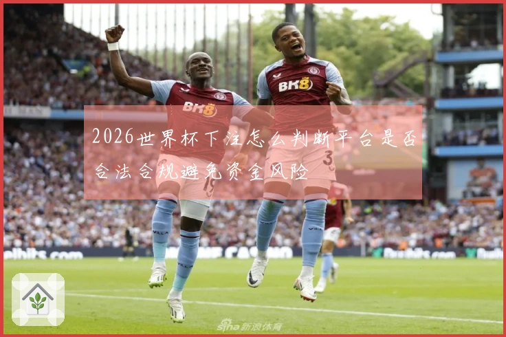 2026世界杯下注怎么判断平台是否合法合规避免资金风险