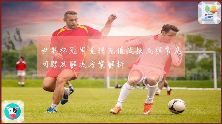 世界杯冠军竞猜充值提款流程常见问题及解决方案解析