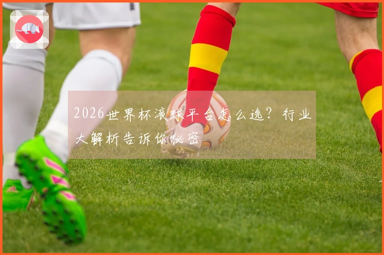 2026世界杯滚球平台怎么选？行业大解析告诉你秘密
