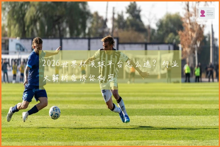 2026世界杯滚球平台怎么选？行业大解析告诉你秘密